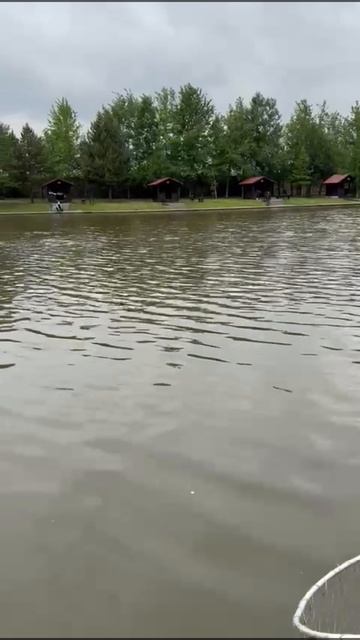 Огромный осетр попался на крючок