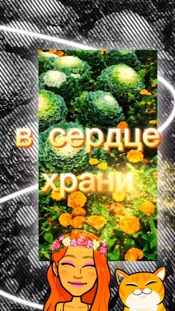 Вы тоже заметили, какая красивая осень в этом году?