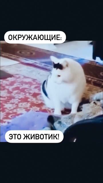 Ребенок плачет