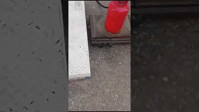 26 ноября 2024 г.