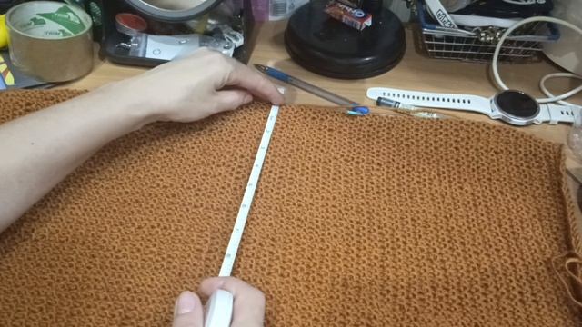 СП Год Кардиганов 