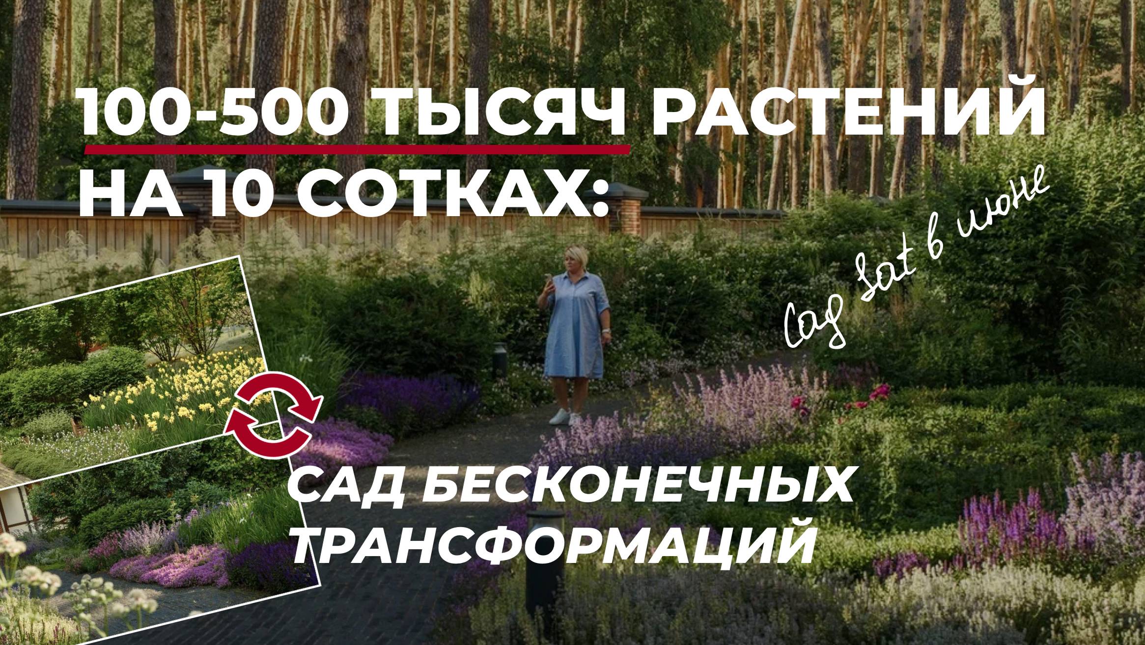 Sat - сад бесконечных трансформаций