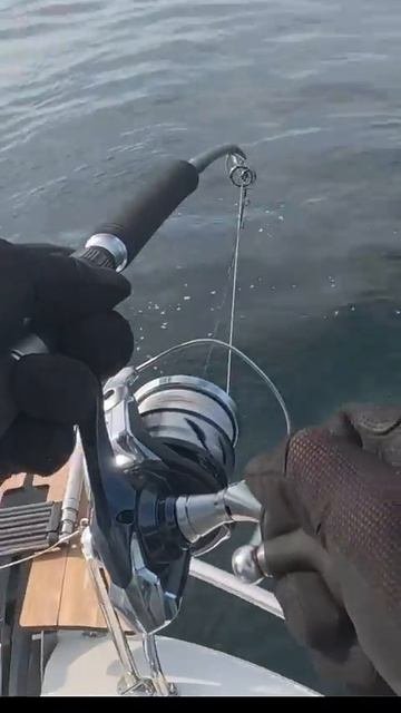 Что может быть лучше? 🎣