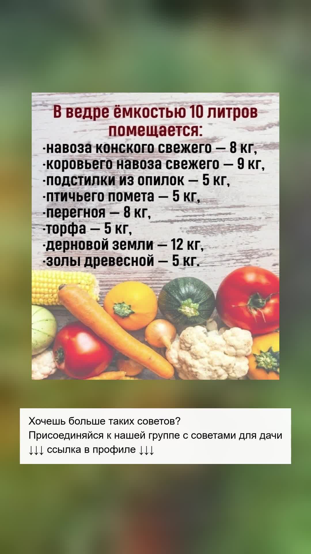 Идеальная смесь для урожая: советы дачникам