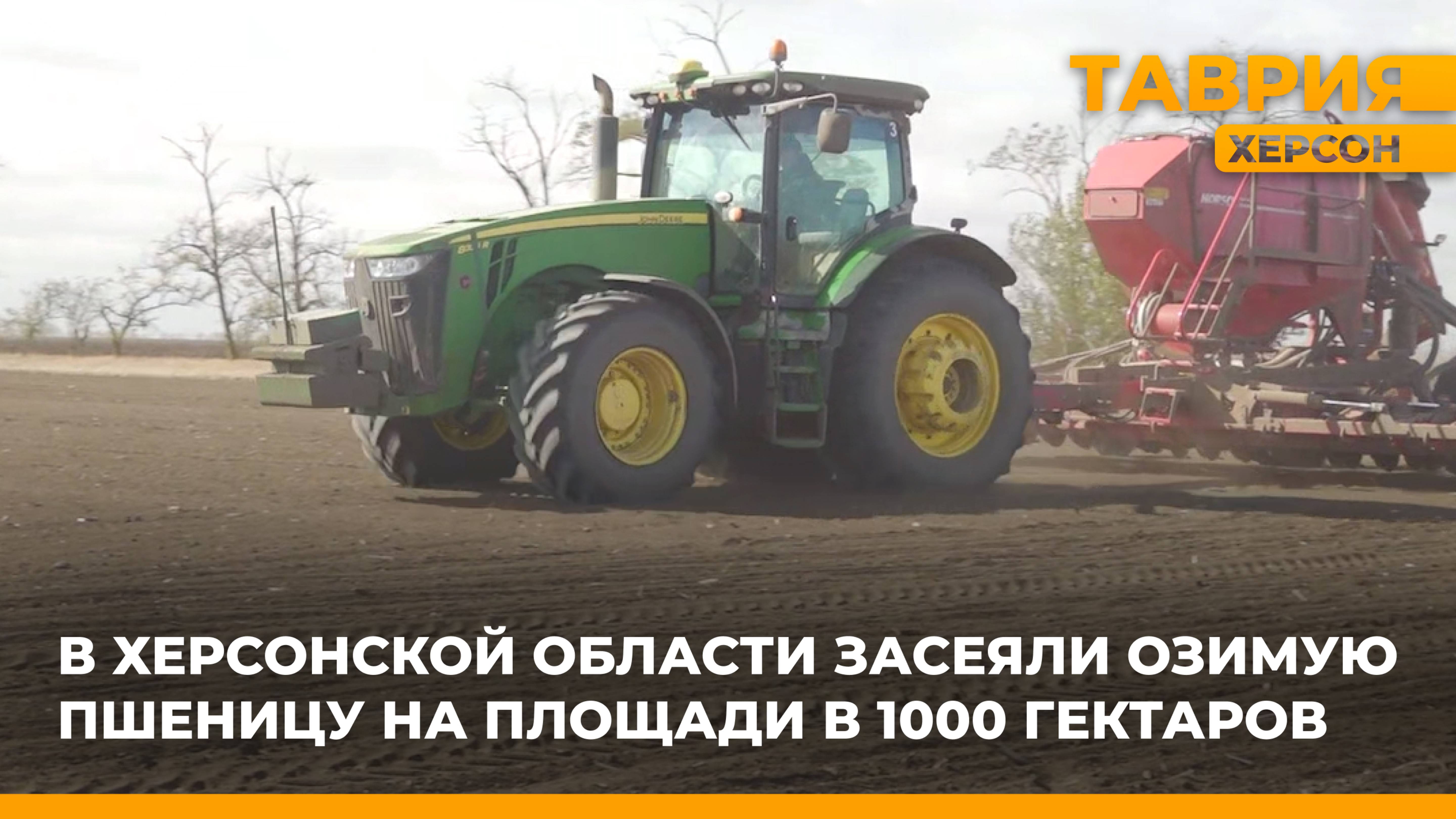 В Херсонской области засеяли озимую пшеницу на площади в 1 000 гектаров