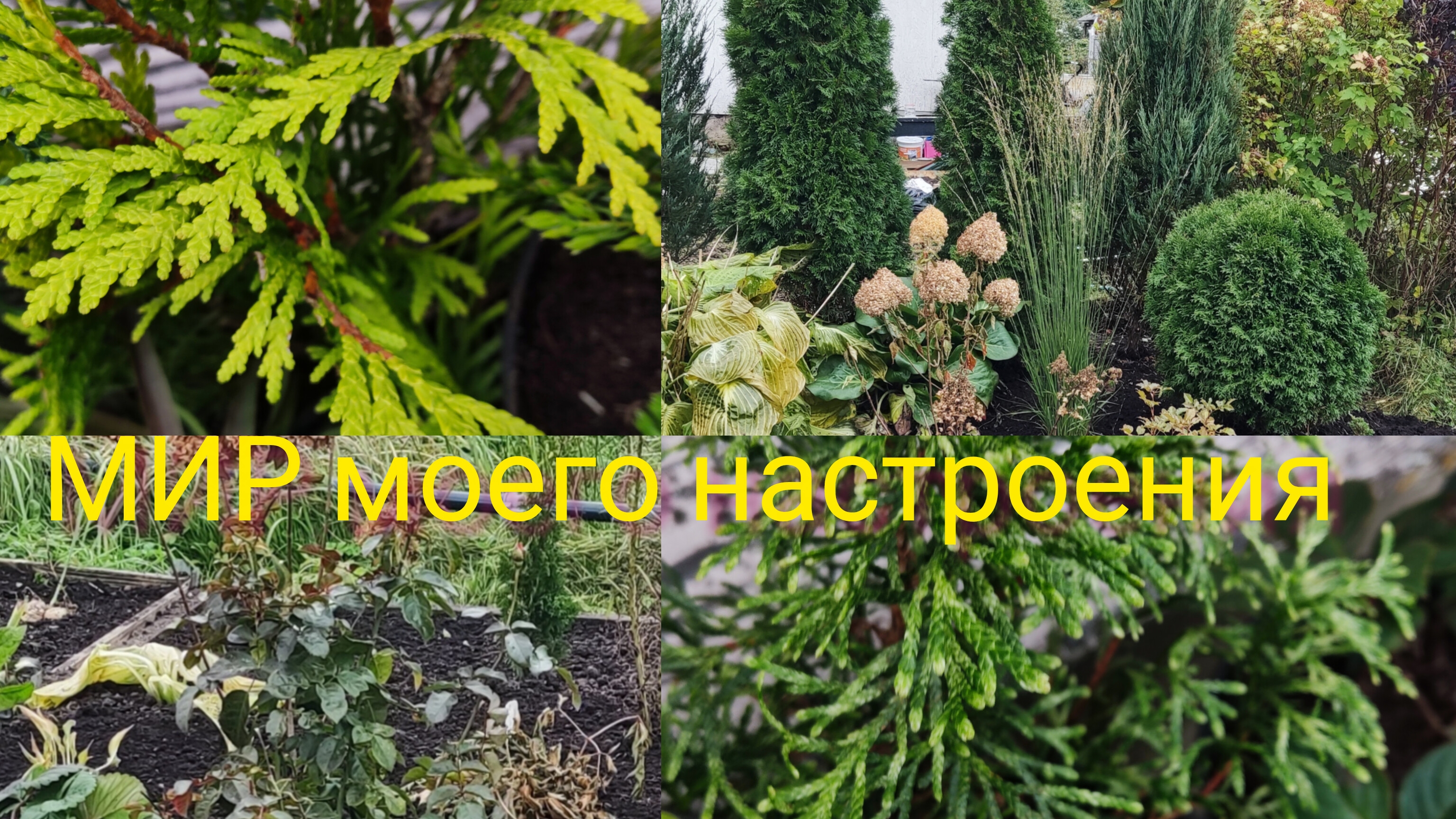 06.10.25 Дача.Подвожу итоги выходных.Что получается по новым проектам.