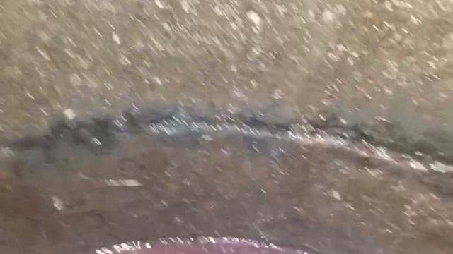 Пос. Зеленоградский. Наш колодец спустя 4 года дал бороду. Podkapaev.ru