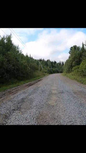 «Ворон - зритель»