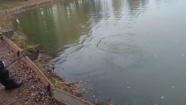 WhatsApp Video 2025-10-07 At 10.20.07