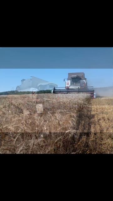 Let's Go! Поехали!👨🔧 🌾🌾🌾☀️