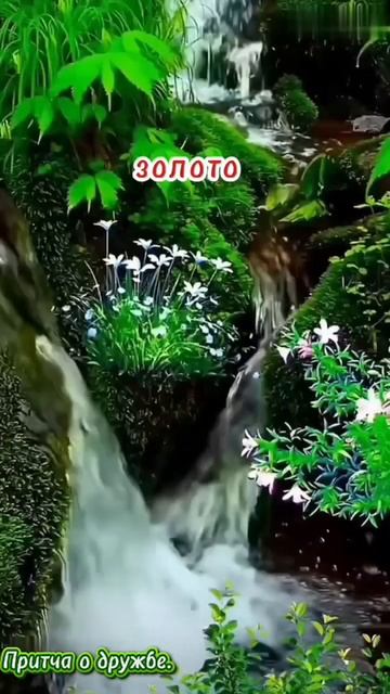 Притча о дружбе.