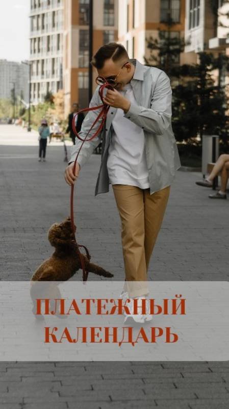 Платёжный календарь  Финансовая отчётность компании