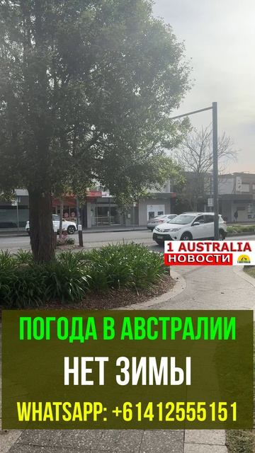 ПОГОДА В АВСТРАЛИИ НЕТ ЗИМЫ. 1Australiashort1549