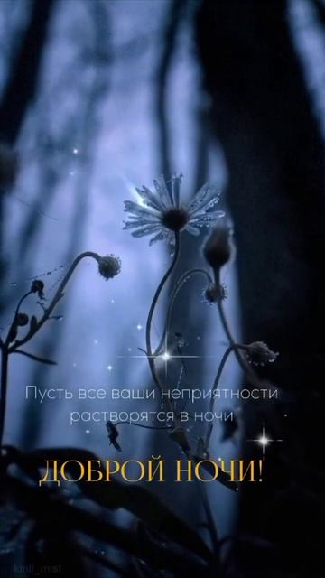 Спокойной ночи
