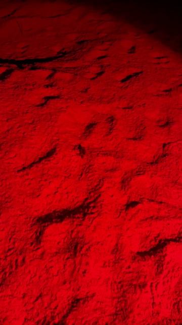 Черепахи в Омане Путешествуйте с Апельсин Тревел 🍊