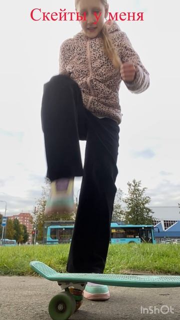 Скейты у всех