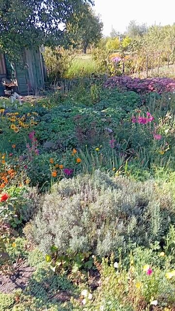 У мамы в Воронеже💐💐💐