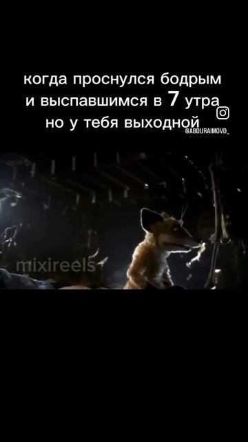 Смешные видео #юмор #смех #жиза