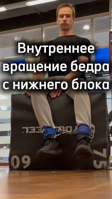 Внутреннее вращение бедра сидя с нижнего блока