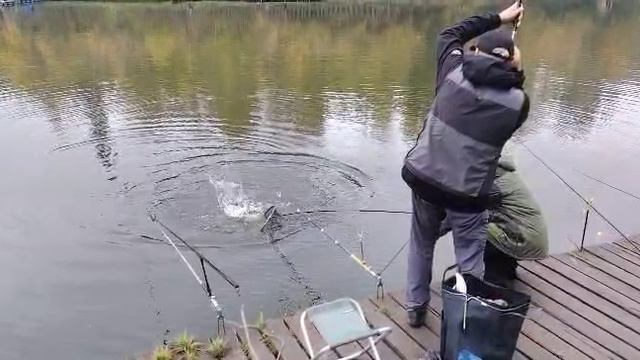 На пасту