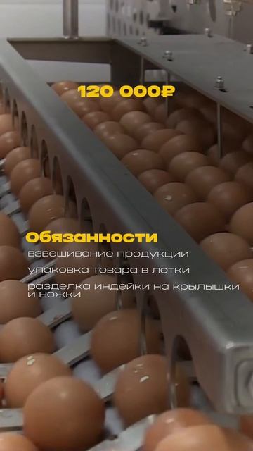 Работа