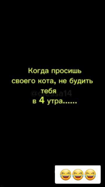 1000004431.mp4