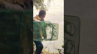 Fishing and other adventures of Shurik. #youtubeshorts #ytshorts #shorts #клещ