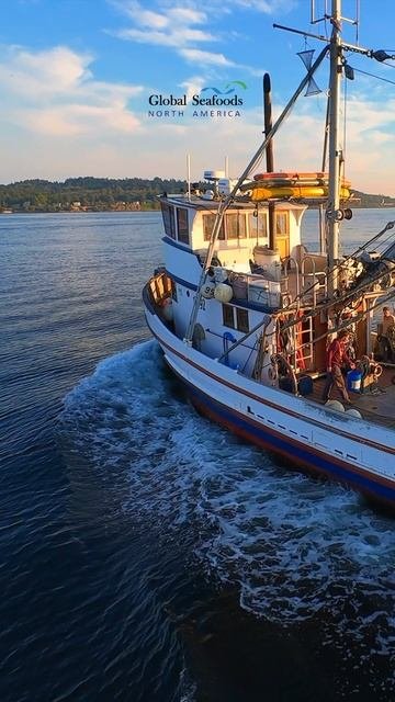 🚢 Пурскейнер возвращается с Аляски — команда девушек! 💪Этот красивый деревянный пурскейнер тольк