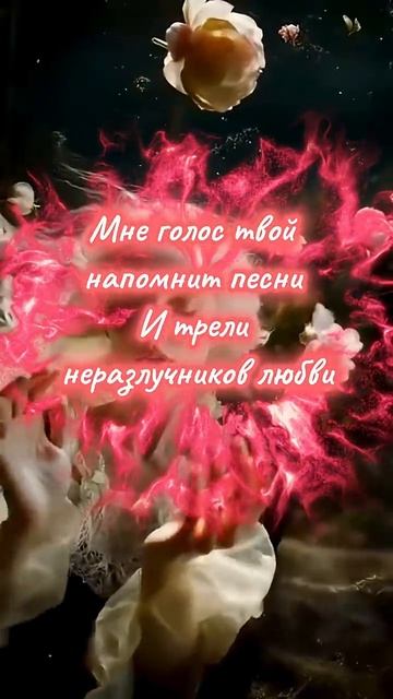 От твоей убийственной улыбки стихи читает автор В Дмитриев #любовь #стихиолюбви #поэзия #поэт#shorts
