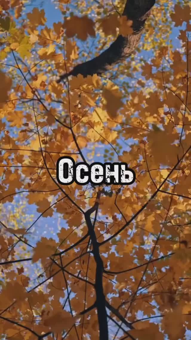 Любимая рубрика!