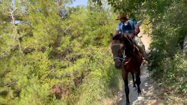 На коне по БСТ (большая Севастопольская тропа)