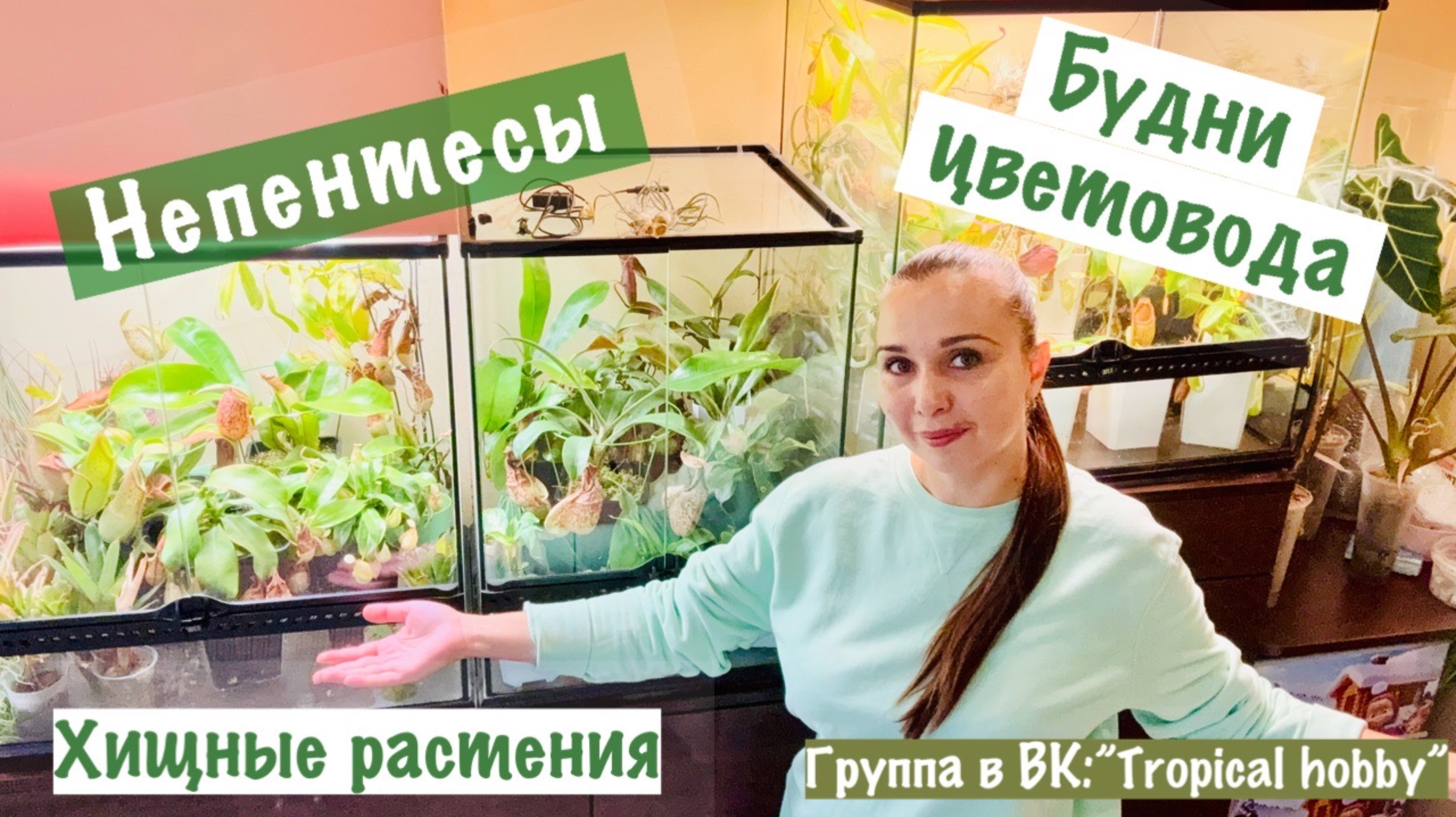 Будни цветовода. Непентес: поливаю, обрезаю🪴