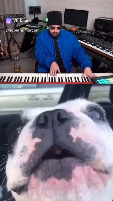 Песни о главном🎤))