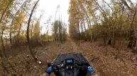 осень листья лес и квадроцикл