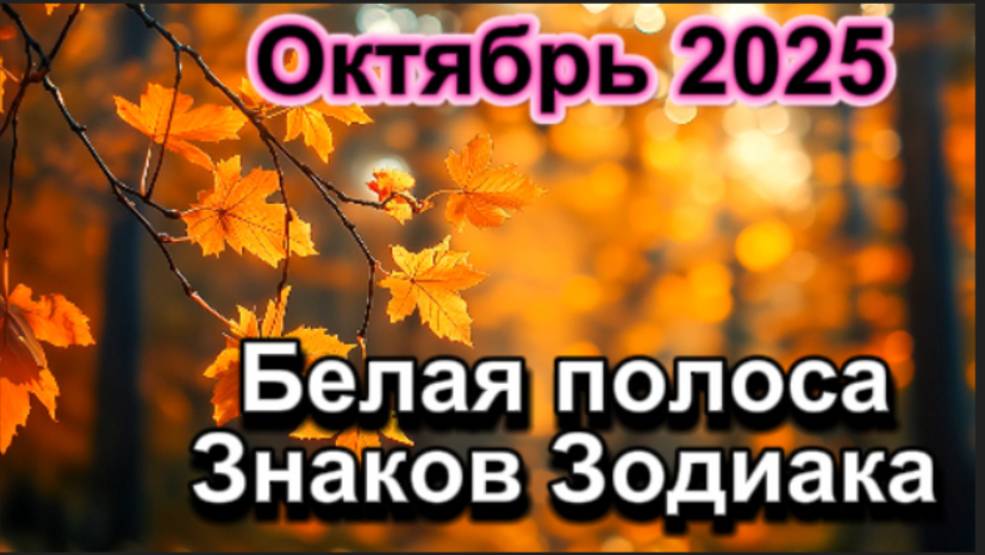 Октябрь 2025 ! Белая полоса Знаков Зодиака!