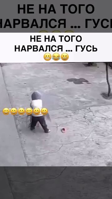 Не на того нарвался гусь