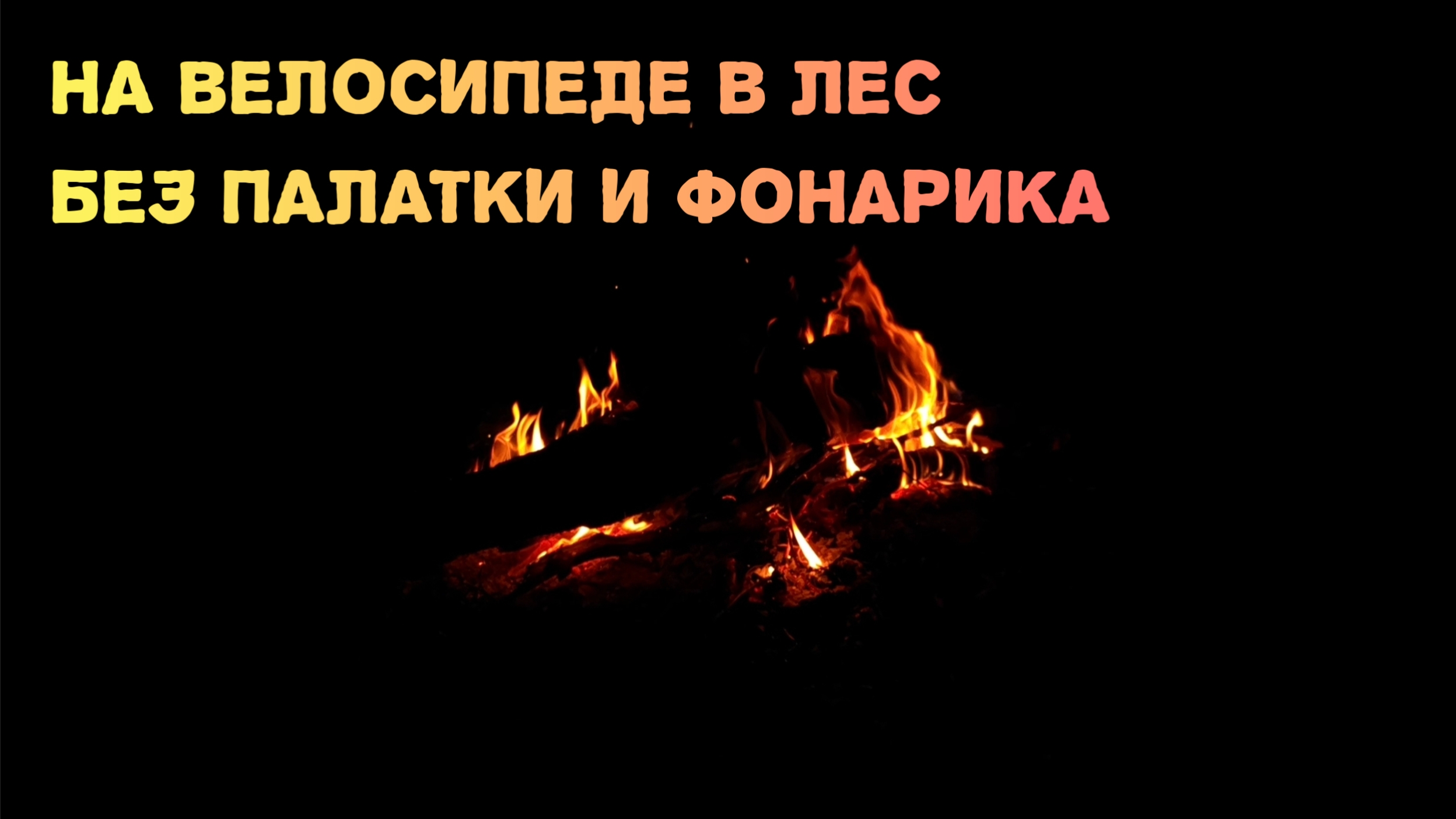 Один в лесу без палатки и фонарика окружили дикие звери.