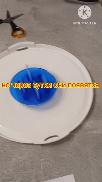 выращивание кристаллов первая часть