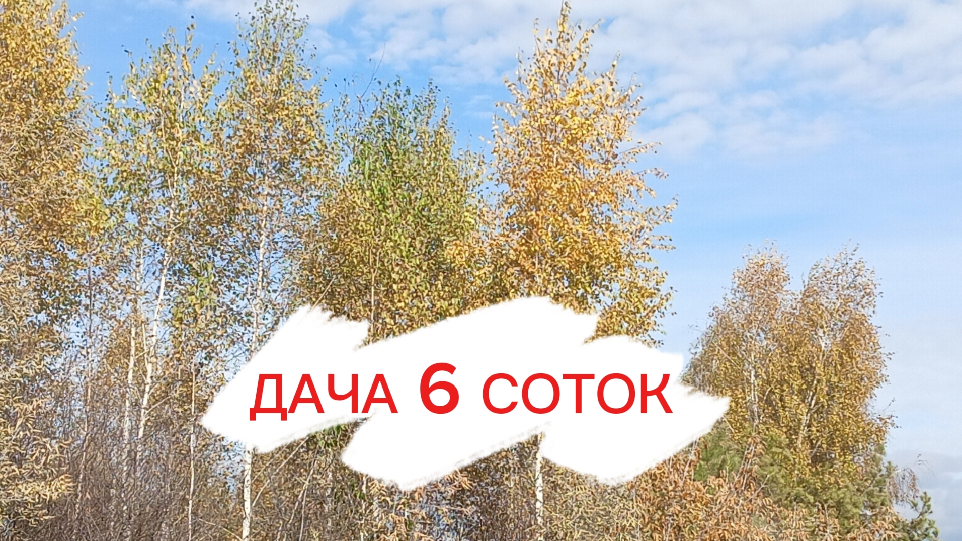 ДАЧА 6 СОТОКОБРЕЗАЛИ ЯБЛОНЮ МЕДОВЫЙ РАНЕТНА ЗАБРОШЕННОЙ ДАЧЕ ГУСТОЙ ИНЕЙ ЛЁД В БОЧКЕ