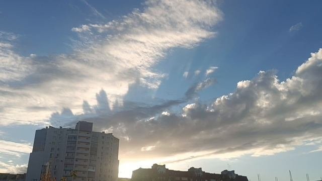 Осенью  на прогулке.Цветы в ОКТЯБРЕ. Просто чудеса на небе. Надо же первый раз вижу. Интересно🤔