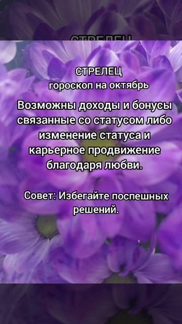 Стрелец гороскоп на октябрь 2025