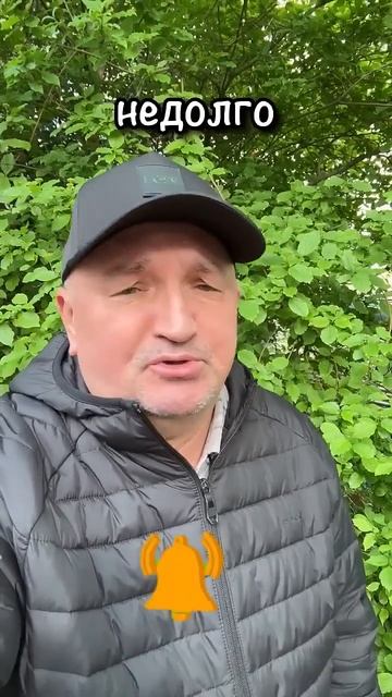 #анекдот Купил мужик зебру и жена нашла заначку