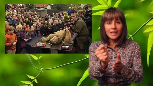 Зачем детей в садике учат убивать?