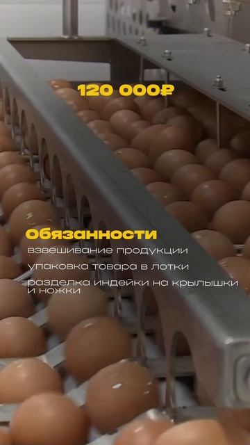 Заполняй анкету в шапке профиля!
