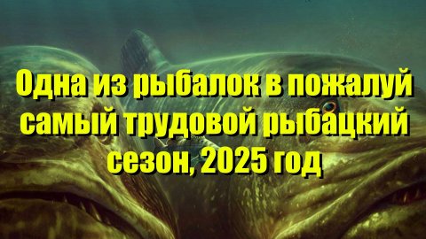 Одна из рыбалок на Чулыме в трудовой 2025 год