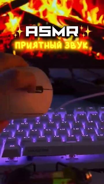 ЗВУК КОСТРА