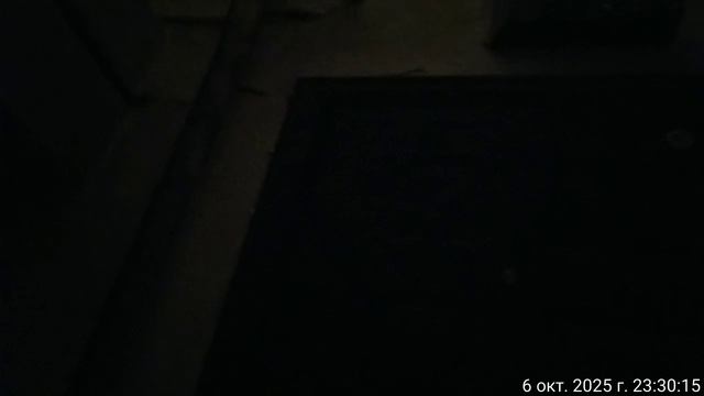 TimeVideo_20251006_233000.mp4