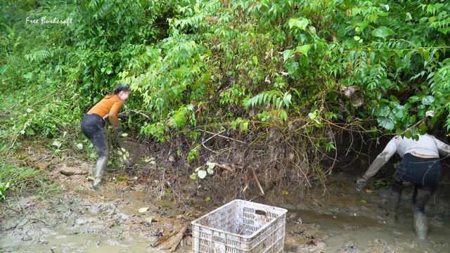 Drained Wild Pond Caught Big Turtle Weighing 10KG And Many Catfish Goes To Countryside Market Sell