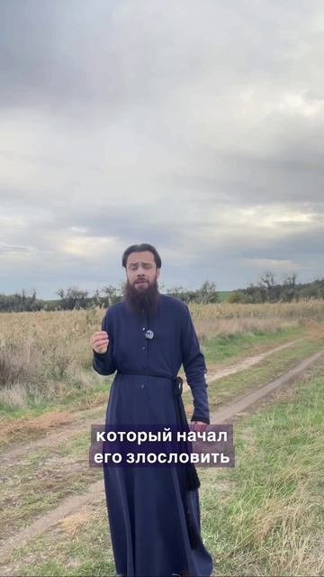 ☦️УРОК царя Давида:🌿не мстить, но принимать вразумление!🙏🙏🙏