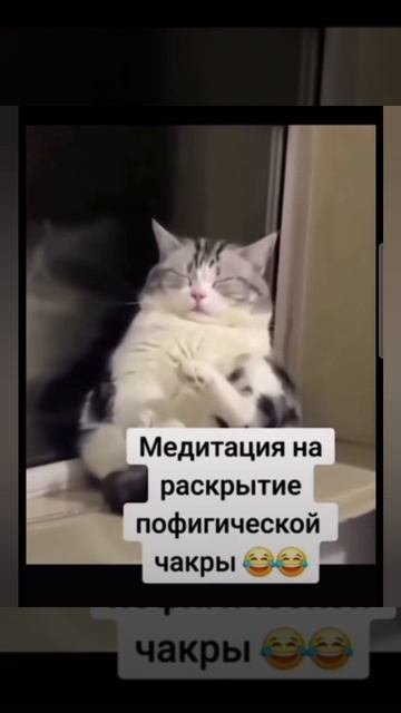 Позитивчика вам #позитив
